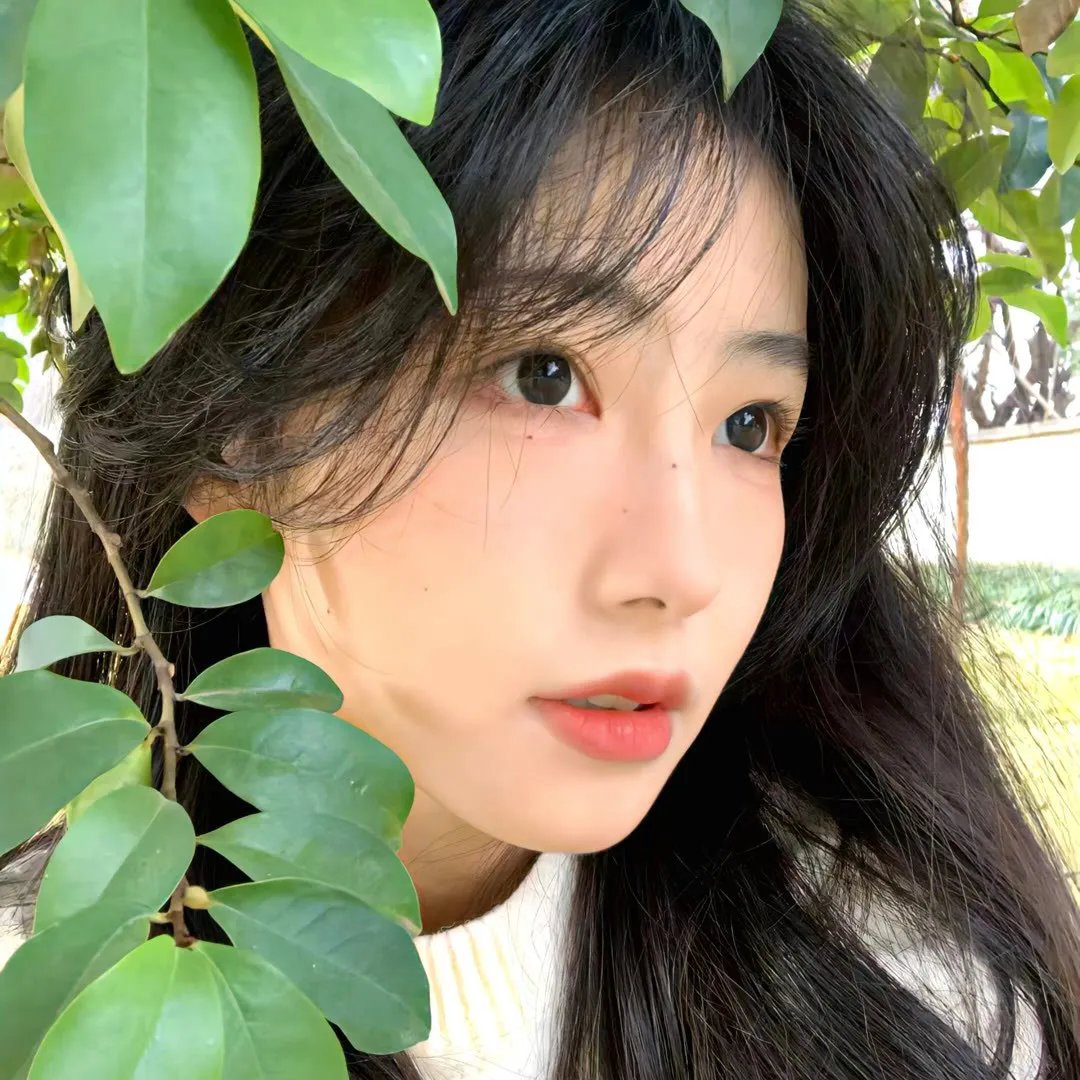铁汉艳娘